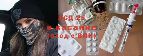 хмурый Магас
