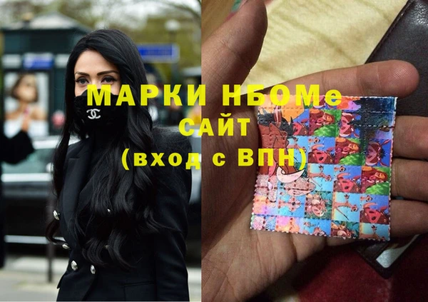 хмурый Магас