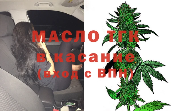 хмурый Магас