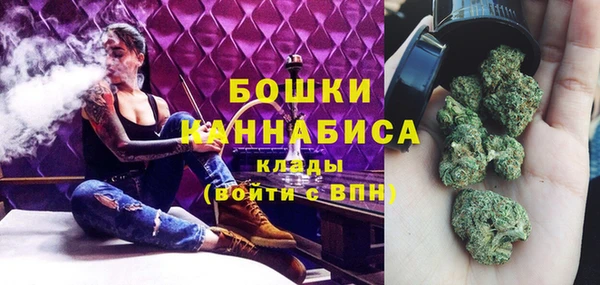 хмурый Магас