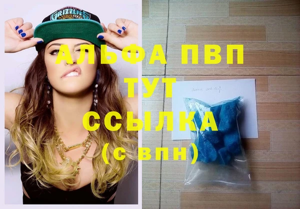 хмурый Магас