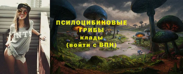 сатива Майский