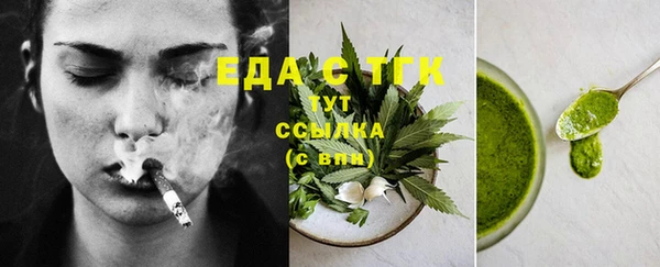 хмурый Магас