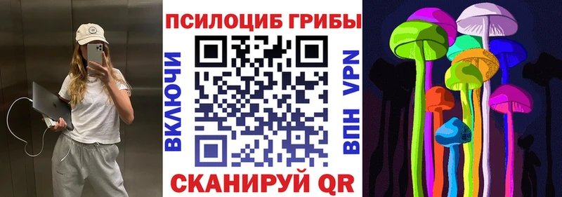 Псилоцибиновые грибы мицелий  Купить  Пролетарск 